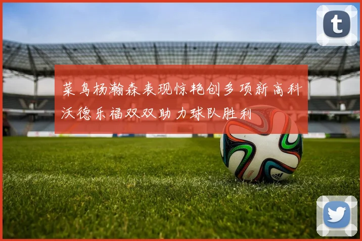菜鸟杨瀚森表现惊艳创多项新高科沃德乐福双双助力球队胜利