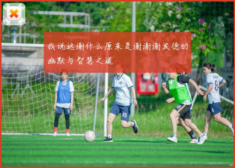 我说这谢什么原来是谢谢谢泼德的幽默与智慧之道