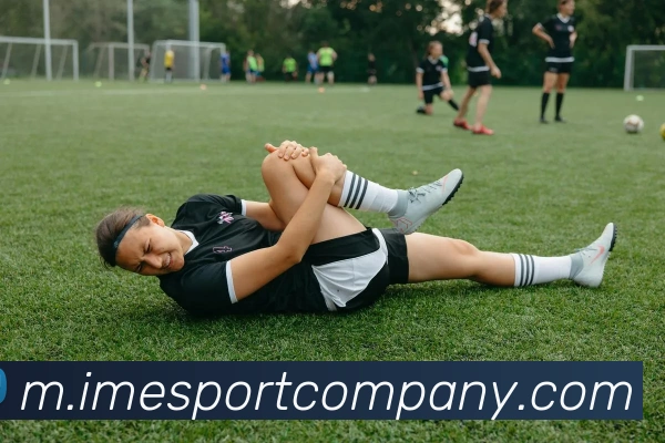 App Interface Preview